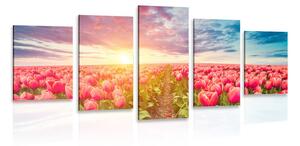 Quadri 5 pezzi – Alba su un campo di tulipani