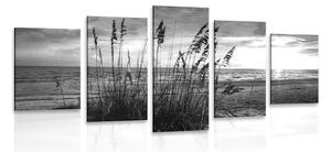 Quadri 5 pezzi – Tramonto sulla spiaggia in bianco e nero