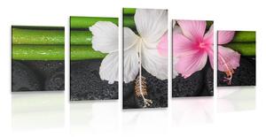 Quadri 5 pezzi – Natura morta benessere
