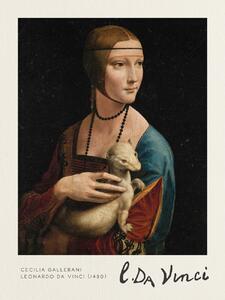 Stampa artistica Cecilia Gallerani The Lady with an Ermine - Leonardo Da Vinci, (30 x 40 cm)