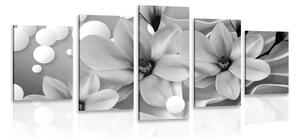 Quadri 5 pezzi – Magnolia bianca e nera su sfondo astratto