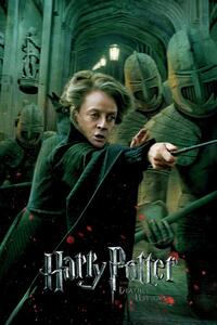 Stampa d'arte Harry Potter - Professor McGonagall, (26.7 x 40 cm)