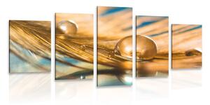 Quadri 5 pezzi – Goccia d'acqua su piuma dorata