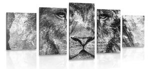 Quadri 5 pezzi – Volto di leone in bianco e nero