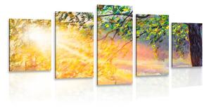 Quadri 5 pezzi – Alba nella foresta