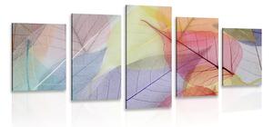 Quadri 5 pezzi – Venature su foglie colorate
