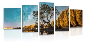 Quadri 5 pezzi – Albero sotto il cielo stellato