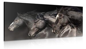 Quadro su tela – Tre cavalli al galoppo