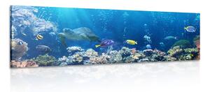 Quadro su tela – Pesci tropicali
