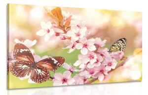 Quadro su tela – Fiori primaverili con farfalle esotiche