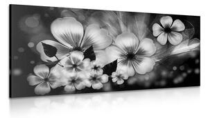 Stampa su tela – Fantasia di fiori in bianco e nero