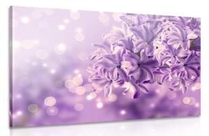Quadro su tela – Fiore di lillà viola