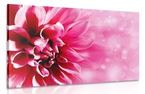 Stampa su tela – Fiore rosa