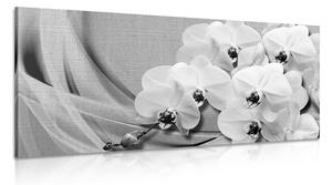Stampa su tela – Orchidea su tela in bianco e nero