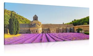 Stampa su tela – Provenza con campi di lavanda