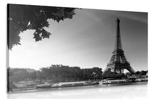 Quadro su tela – Parigi in autunno in bianco e nero