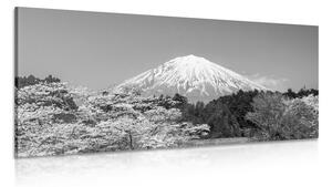 Stampa su tela – Monte Fuji in bianco e nero