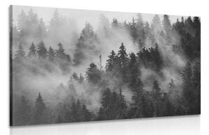 Stampa su tela – Montagne nella nebbia in bianco e nero