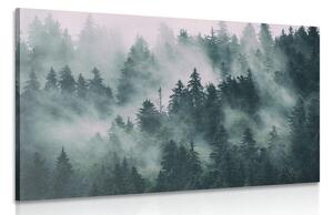 Quadro su tela – Montagne nella nebbia