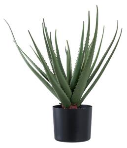 Pianta artificiale (altezza 51 cm) Aloe Vera - House Nordic