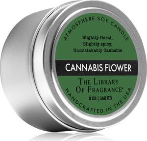 The Library of Fragrance Cannabis Flower candela profumata 142 g