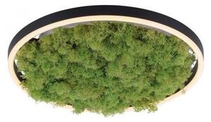 JUST LIGHT. 15391-66 - Plafoniera LED dimmerabile VERDE RITU LED/20W/230V