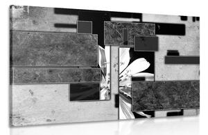 Stampa su tela – Astrazione in bianco e nero