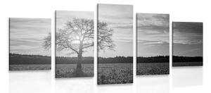 Quadri 5 pezzi – Albero solitario in bianco e nero