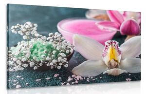 Stampa su tela – Splendida orchidea dettagliata