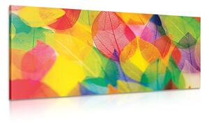 Quadro su tela – Foglie in colori autunnali
