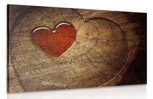 Quadro su tela – Cuore su tronco