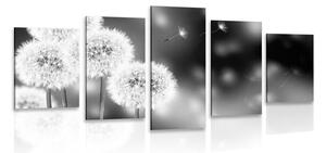 Quadri 5 pezzi – Dente di leone soffice in bianco e nero