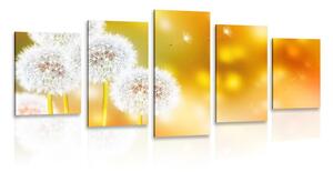 Quadri 5 pezzi – Dente di leone soffice