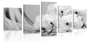 Quadri 5 pezzi – Orchidea su tela in bianco e nero