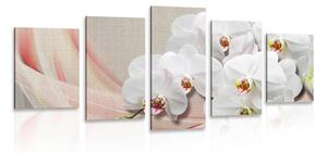 Quadri 5 pezzi – Orchidea bianca su tela
