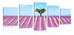 Quadri 5 pezzi – Campo di lavanda provenzale
