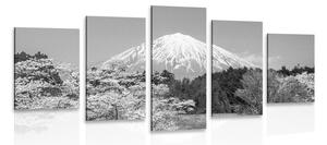 Quadri 5 pezzi – Monte Fuji in bianco e nero