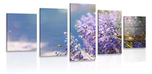 Quadri 5 pezzi – Giardino di lavanda