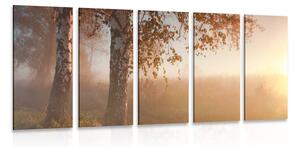 Quadri 5 pezzi – Foresta autunnale nebbiosa