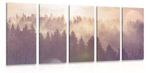 Quadri 5 pezzi – Nebbia sulla foresta