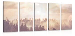Quadri 5 pezzi – Foresta nebbiosa