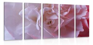 Quadri 5 pezzi – Petali di garofano