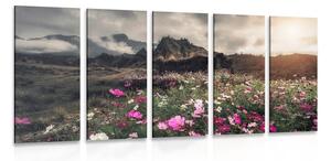 Quadri 5 pezzi – Prato di fiori in fiore