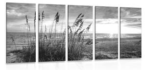Quadri 5 pezzi – Tramonto sulla spiaggia in bianco e nero