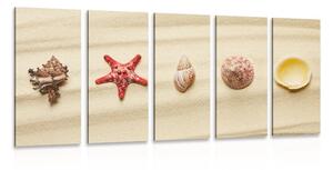 Quadri 5 pezzi – Conchiglie sulla spiaggia sabbiosa
