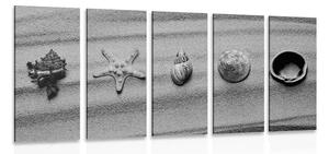Quadri 5 pezzi – Conchiglie sulla spiaggia sabbiosa in bianco e nero