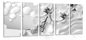 Quadri 5 pezzi – Orchidea in bianco e nero su sfondo astratto
