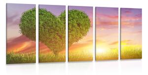 Quadri 5 pezzi – Albero a forma di cuore sul prato