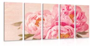 Quadri 5 pezzi – Peonia delicata