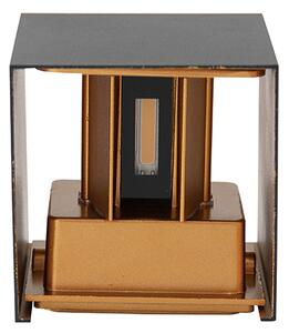 Applique da esterno nera con doratura incl. LED 2 luci IP54 - Edwin